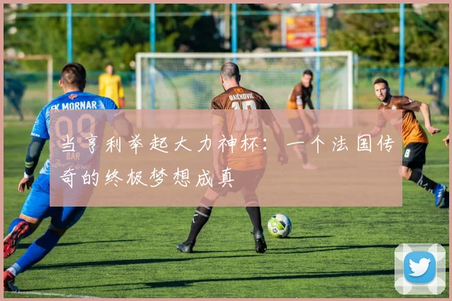 当亨利举起大力神杯:一个法国传奇的终极梦想成真