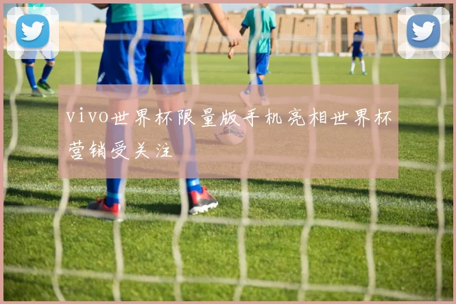 vivo世界杯限量版手机亮相世界杯营销受关注