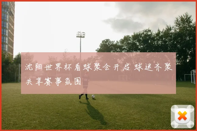 沈阳世界杯看球聚会开启 球迷齐聚共享赛事氛围