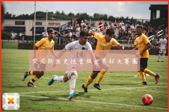 突尼斯历史性晋级世界杯决赛圈