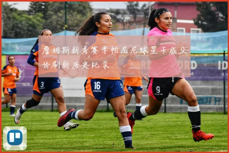 詹姆斯新秀赛季帕尼尼球星卡成交价刷新历史纪录