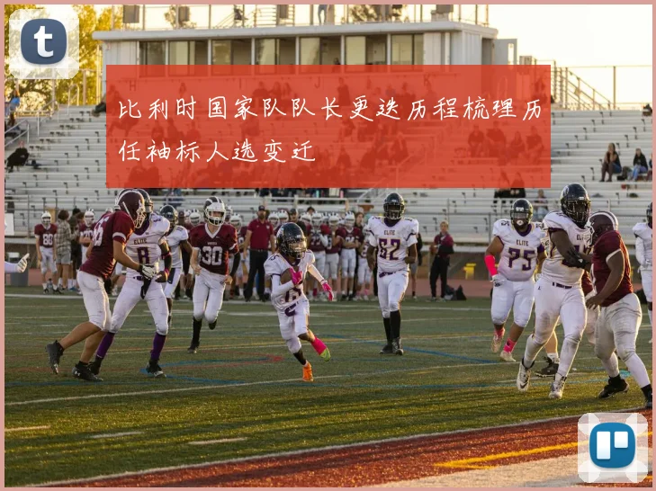 比利时国家队队长更迭历程梳理历任袖标人选变迁