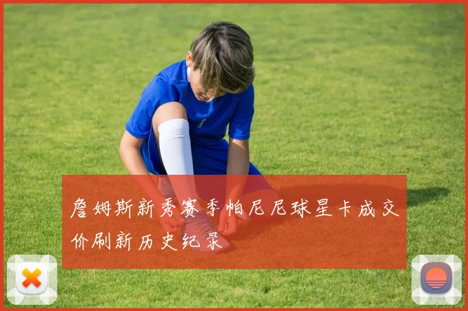 詹姆斯新秀赛季帕尼尼球星卡成交价刷新历史纪录
